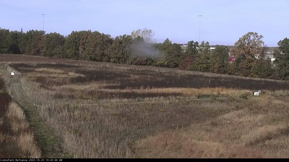 Cell 2_23-10-23_10-43-46-83