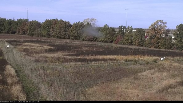 Cell 2_23-10-23_11-50-45-77