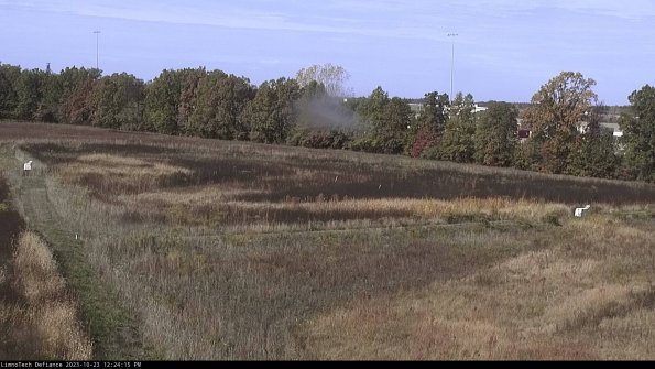 Cell 2_23-10-23_12-24-15-79