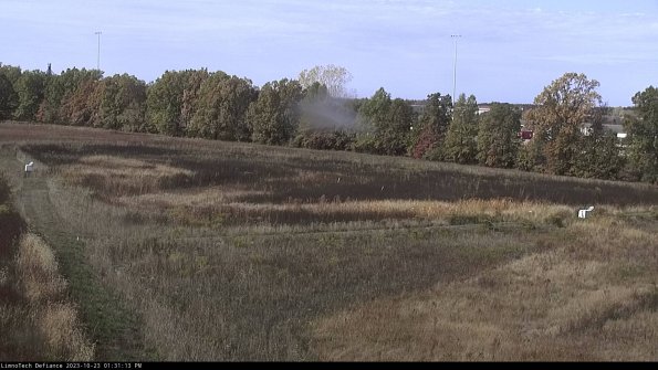 Cell 2_23-10-23_13-31-13-79