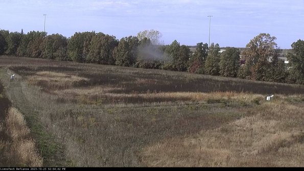 Cell 2_23-10-23_14-04-42-81