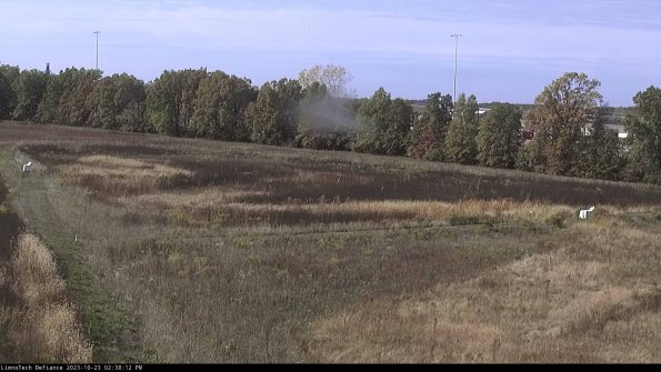 Cell 2_23-10-23_14-38-12-80