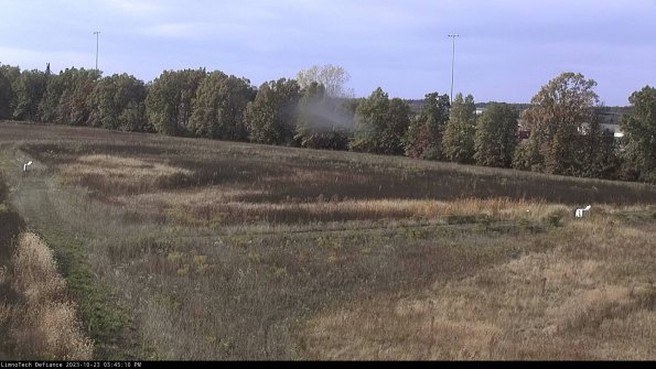 Cell 2_23-10-23_15-45-10-77