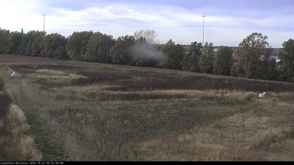 Cell 2_23-10-23_16-52-08-88