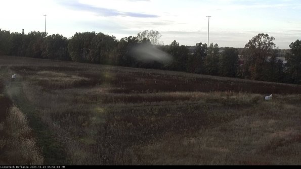 Cell 2_23-10-23_17-59-08-82