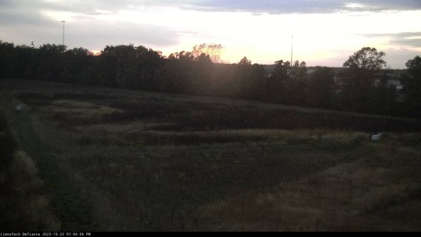 Cell 2_23-10-23_19-06-06-79