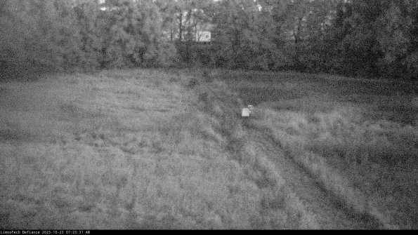 Cell 3 to 4_23-10-23_07-23-31-74