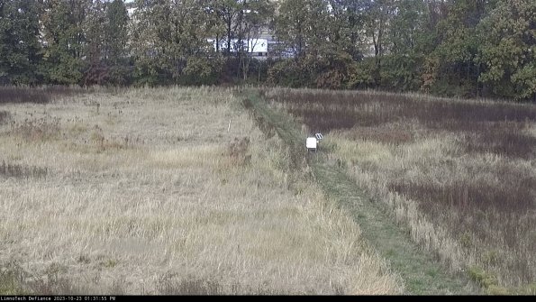 Cell 3 to 4_23-10-23_13-31-55-77