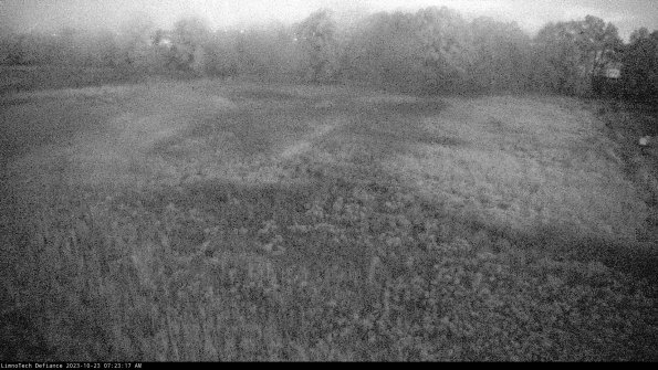 Cell 3_23-10-23_07-23-17-76