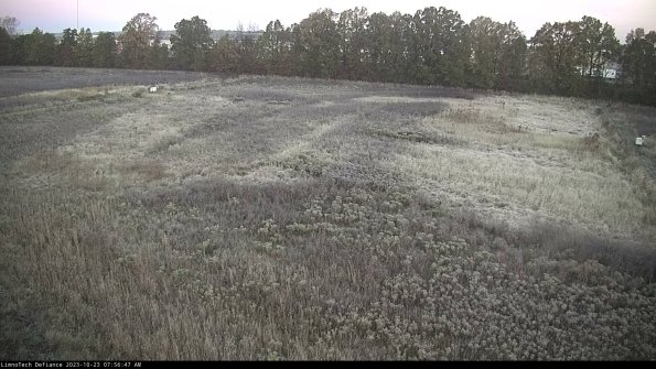 Cell 3_23-10-23_07-56-47-77