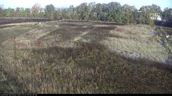 Cell 3_23-10-23_09-03-45-77