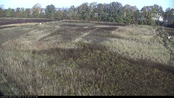 Cell 3_23-10-23_09-37-15-78