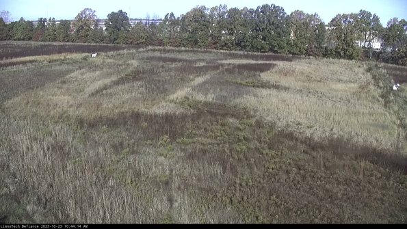 Cell 3_23-10-23_10-44-14-75