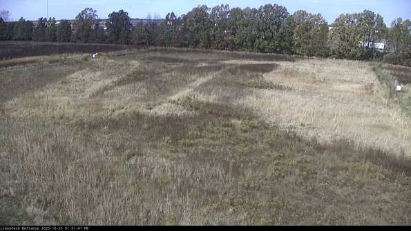 Cell 3_23-10-23_13-31-41-76