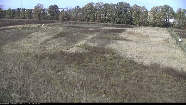 Cell 3_23-10-23_14-05-10-74