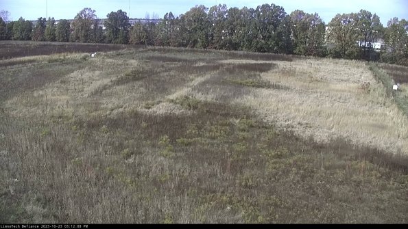 Cell 3_23-10-23_15-12-08-78