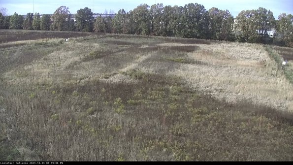 Cell 3_23-10-23_16-19-06-99