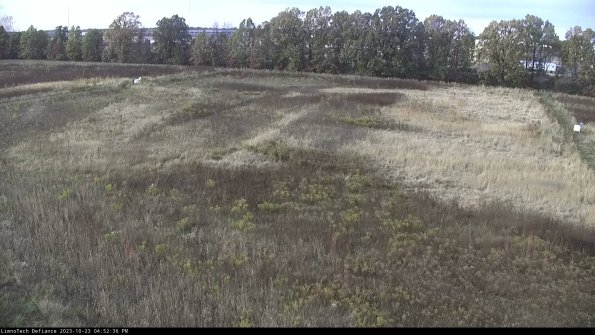 Cell 3_23-10-23_16-52-36-80