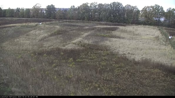 Cell 3_23-10-23_17-26-07-79