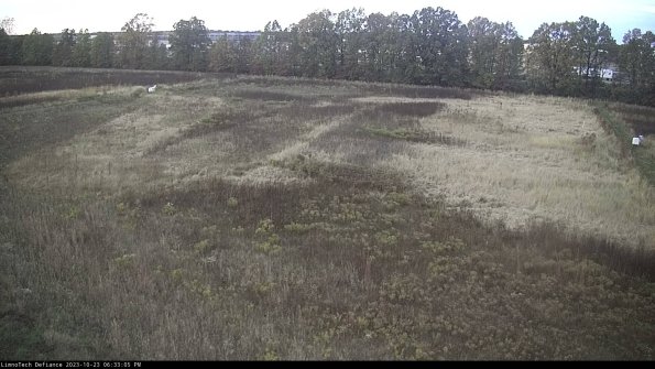 Cell 3_23-10-23_18-33-06-00