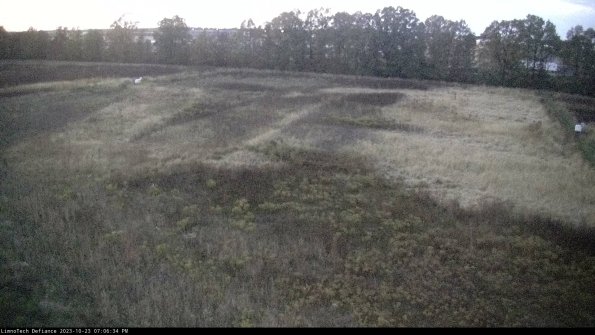 Cell 3_23-10-23_19-06-34-79