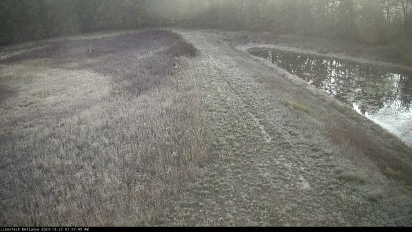 Cell 4 to Basin_23-10-23_07-57-45-80