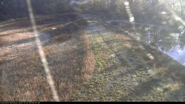 Cell 4 to Basin_23-10-23_09-04-43-79