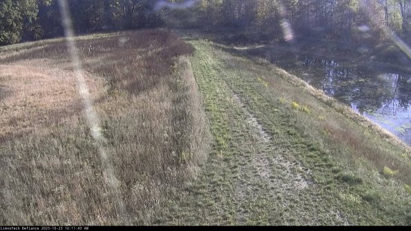 Cell 4 to Basin_23-10-23_10-11-43-76