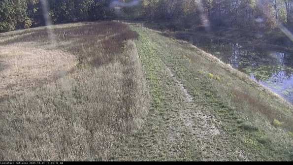 Cell 4 to Basin_23-10-23_10-45-12-75