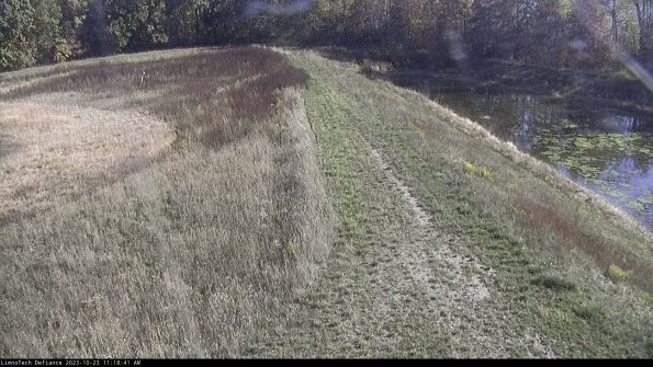 Cell 4 to Basin_23-10-23_11-18-41-77