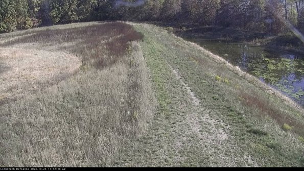 Cell 4 to Basin_23-10-23_11-52-10-75