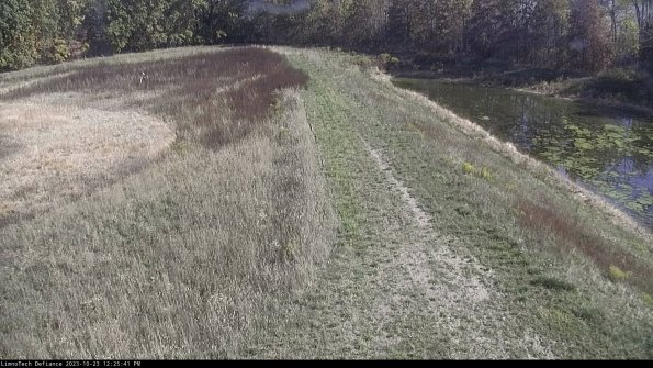 Cell 4 to Basin_23-10-23_12-25-41-78