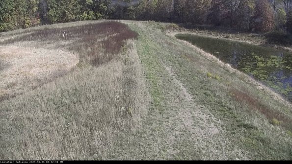 Cell 4 to Basin_23-10-23_13-32-39-78