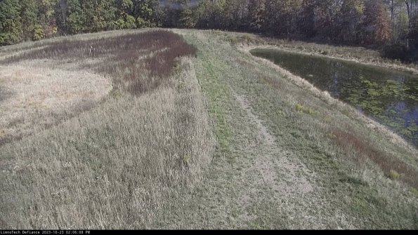 Cell 4 to Basin_23-10-23_14-06-08-80