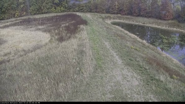 Cell 4 to Basin_23-10-23_15-46-36-79