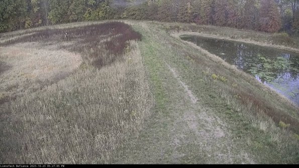 Cell 4 to Basin_23-10-23_17-27-05-79