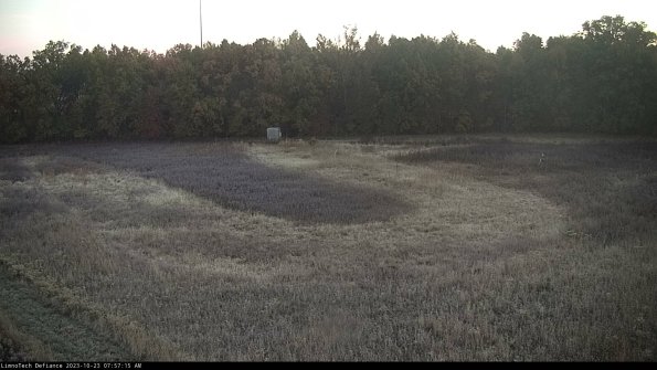 Cell 4_23-10-23_07-57-15-77