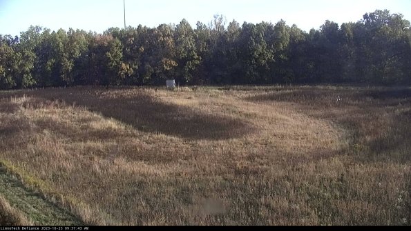 Cell 4_23-10-23_09-37-43-78