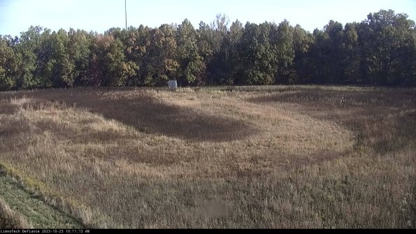 Cell 4_23-10-23_10-11-13-76