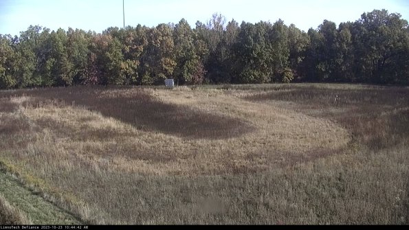 Cell 4_23-10-23_10-44-42-75