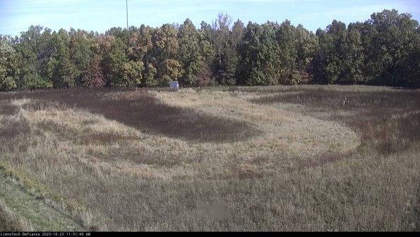 Cell 4_23-10-23_11-51-40-76