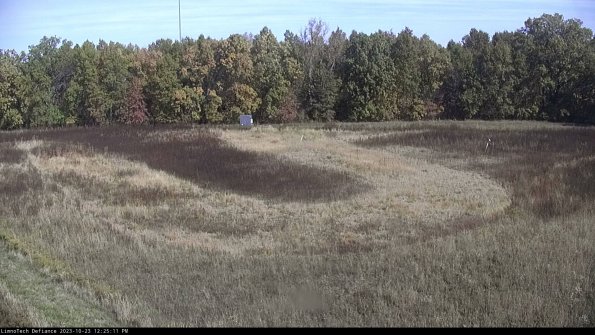 Cell 4_23-10-23_12-25-11-78