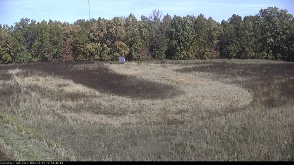 Cell 4_23-10-23_12-58-40-76