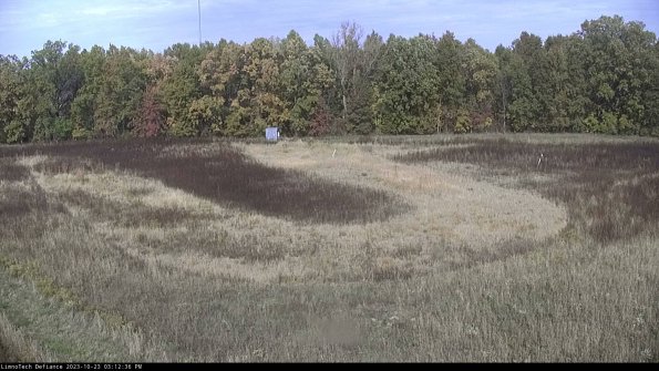 Cell 4_23-10-23_15-12-36-78