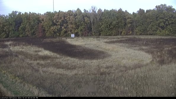 Cell 4_23-10-23_16-53-04-80