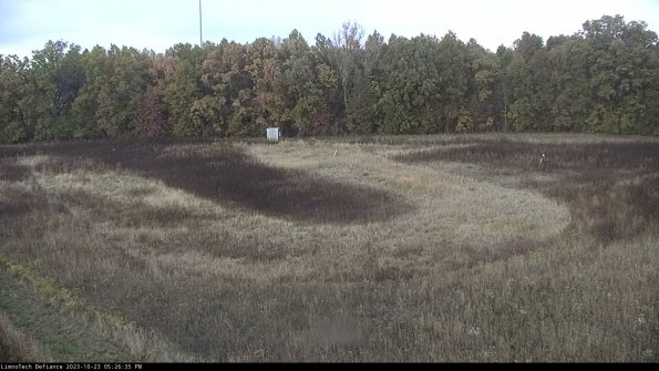 Cell 4_23-10-23_17-26-35-79