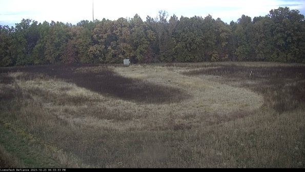 Cell 4_23-10-23_18-33-33-76