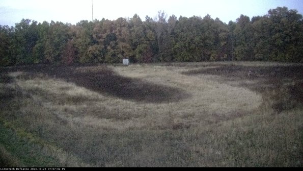 Cell 4_23-10-23_19-07-02-75