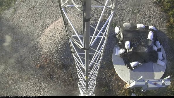 Hatch_23-10-23_09-05-53-76