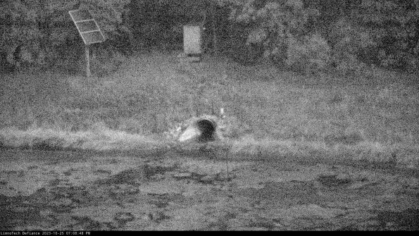 Basin Inflow_23-10-25_19-08-49-04